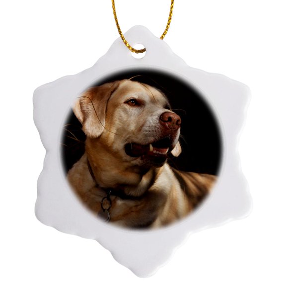 3drose, Usa, Oregon, Labrador Retriever, 3 inch Snowflake Porcelain Ornament
