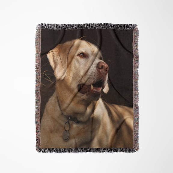 Usa, Oregon, Labrador Retriever, Woven Blanket