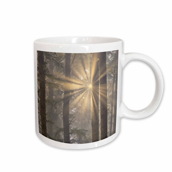3drose, Usa, Oregon. Lookout State Park. Fog and Sun in Sitka Spruce Forest 1, 11oz Mug