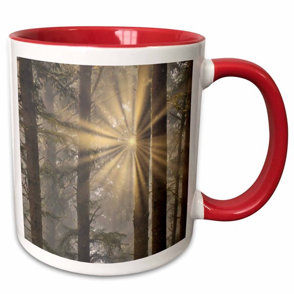 3drose, Usa, Oregon. Lookout State Park. Fog and Sun in Sitka Spruce Forest 1, 11oz Two-tone Red Mug