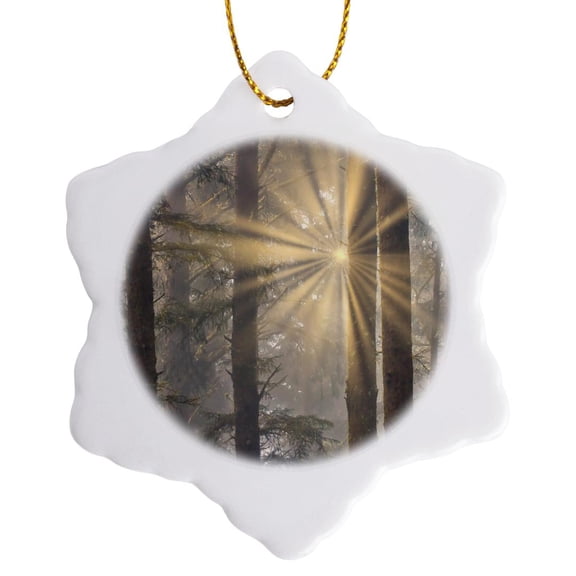3drose, Usa, Oregon. Lookout State Park. Fog and Sun in Sitka Spruce Forest 1, 3 inch Snowflake Porcelain Ornament