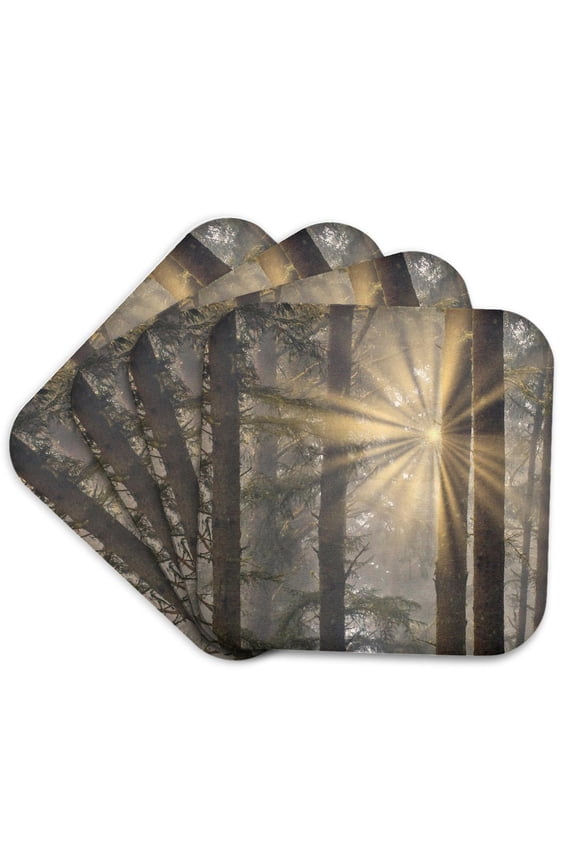 , Usa, Oregon. Lookout State Park. Fog and Sun in Sitka Spruce Forest 1, Set of 4 Coasters - Soft