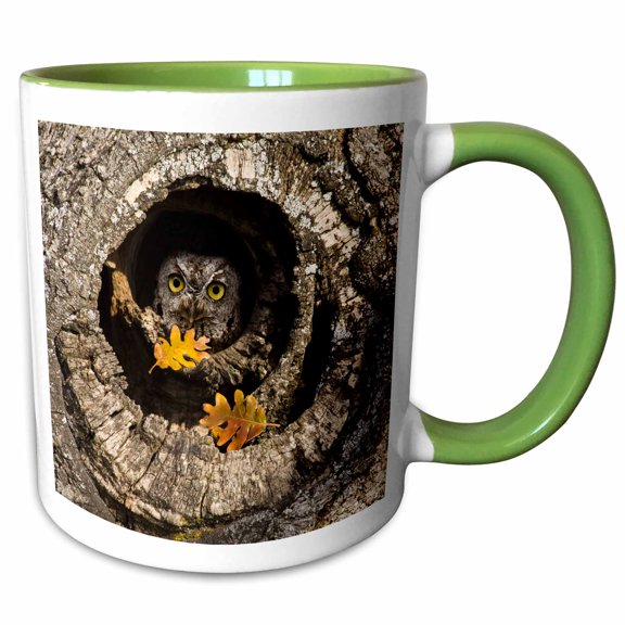 3drose, Usa, Oregon, Mosier. Screech Owl in Old Oak Tree - Us38 Bja0676 - Jaynes Gallery, 15oz Two-tone Green Mug