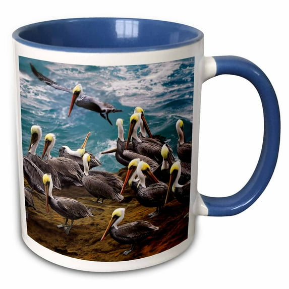 3drose, Usa, Oregon, Newport. Brown Pelicans at Devils Punch Bowl., 11oz Two-tone Blue Mug