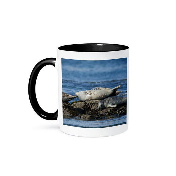 3dRose, USA, Oregon, Newport, Yaquina Head, Harbor Seals - US38 RBR0492 - Rick A Brown, 11oz Two-Tone Black Mug