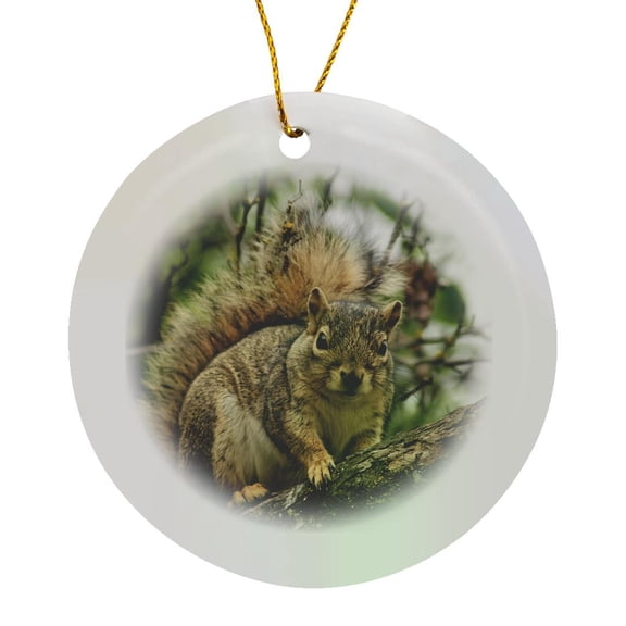 3drose, Usa, Oregon, Portland. Gray Squirrel - Us38 Bja0467 - Jaynes Gallery, Circle Porcelain Ornament