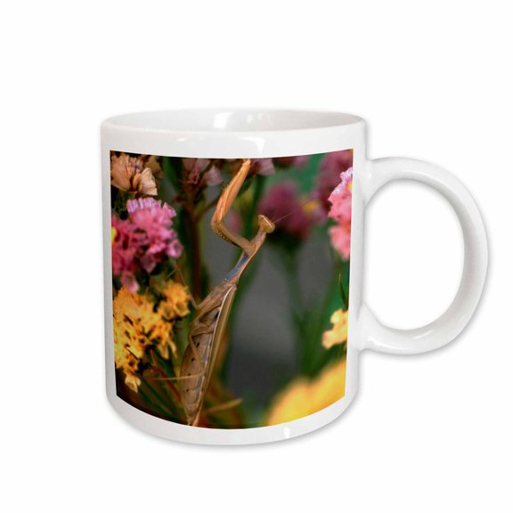 3drose, Usa, Oregon, Portland. Praying Mantis Insect - Us38 Bja0195 - Jaynes Gallery, 11oz Mug
