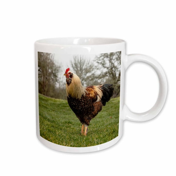 3drose, Usa, Oregon, Shedd, Thompson Mills State Historic Site, Rooster., 11oz Mug