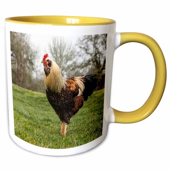 3drose, Usa, Oregon, Shedd, Thompson Mills State Historic Site, Rooster., 11oz Two-tone Yellow Mug