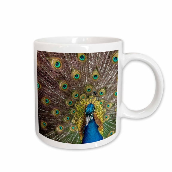3drose, Usa, Oregon, Tillamook. Peacock Displaying Tail Feathers, 15oz Mug