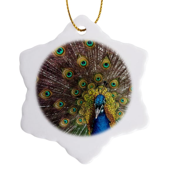 3drose, Usa, Oregon, Tillamook. Peacock Displaying Tail Feathers, 3 inch Snowflake Porcelain Ornament