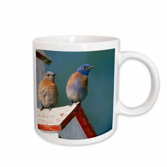 3drose, Usa, Oregon. Western Bluebirds - Na02 Mwe0130 - Michele Westmorland, 11oz Mug