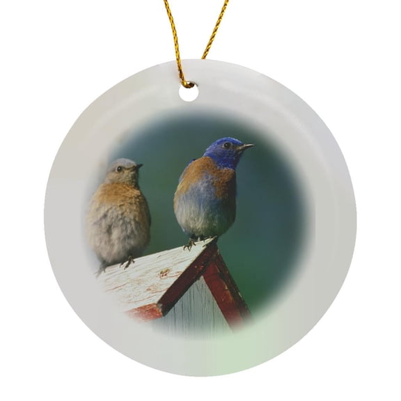 3drose, Usa, Oregon. Western Bluebirds - Na02 Mwe0130 - Michele Westmorland, Circle Porcelain Ornament
