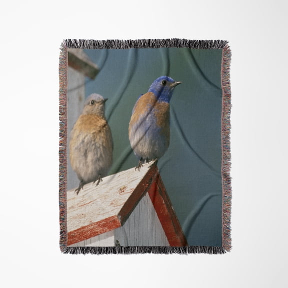 Usa, Oregon. Western Bluebirds - Na02 Mwe0130 - Michele Westmorland, Woven Blanket