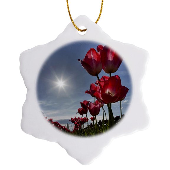 3drose, Usa, Oregon, Woodburn, Wooden Shoe Tulip Farm - Us38 Rbr0709 - Rick a Brown, 3 inch Snowflake Porcelain Ornament
