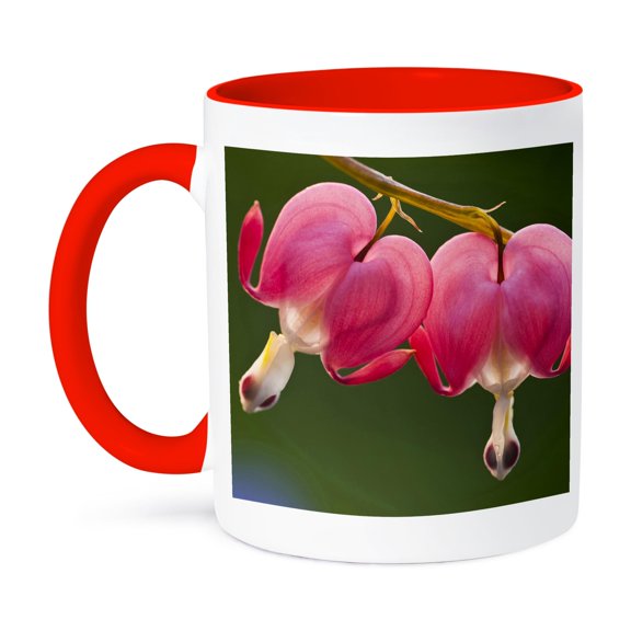 3dRose, USA, Pennsylvania. Bleeding heart flowers - US39 BJA0071 - Jaynes Gallery, 11oz Two-Tone Red Mug