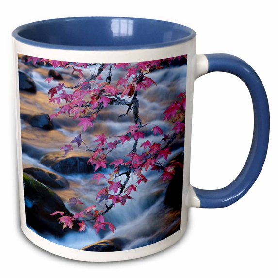 3drose, Usa, Smoky Mountains National Park, Fall Foliage at a Mountain Stream., 11oz Two-tone Blue Mug