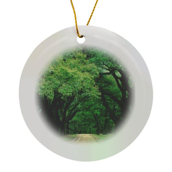 3drose, Usa, South Carolina. Spanish Moss-covered Trees Line a Road., Circle Porcelain Ornament