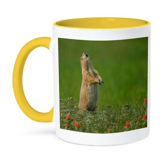 3dRose, USA, South Dakota, Custer SP. Black-tailed prairie dog calling., 11oz Two-Tone Yellow Mug
