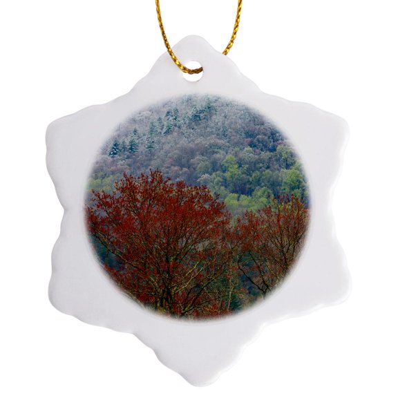 3drose, Usa, Tennessee. Great Smoky Mountains National Park. Spring Snow 1, 3 inch Snowflake Porcelain Ornament