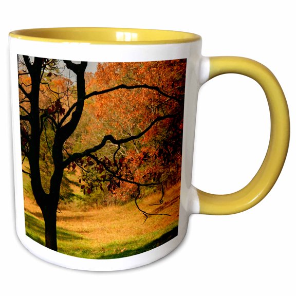 3drose, Usa, Tennessee. Silhouette of Barren Tree in a Colorful Fall Meadow., 11oz Two-tone Yellow Mug