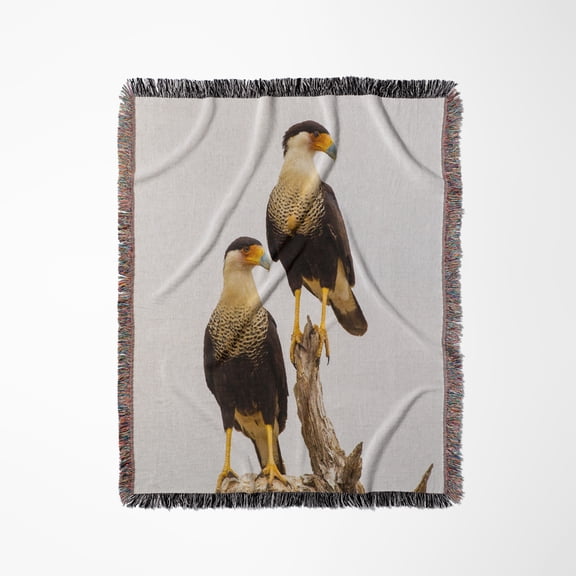 Usa, Texas, Hidalgo County. Adult Crested Caracara Pair On Tree Stump., Woven Blanket