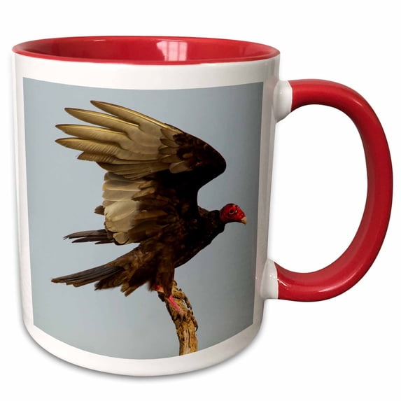 3drose, Usa, Texas, Hidalgo County. Close-up of Turkey Vulture on Stump., 15oz Two-tone Red Mug