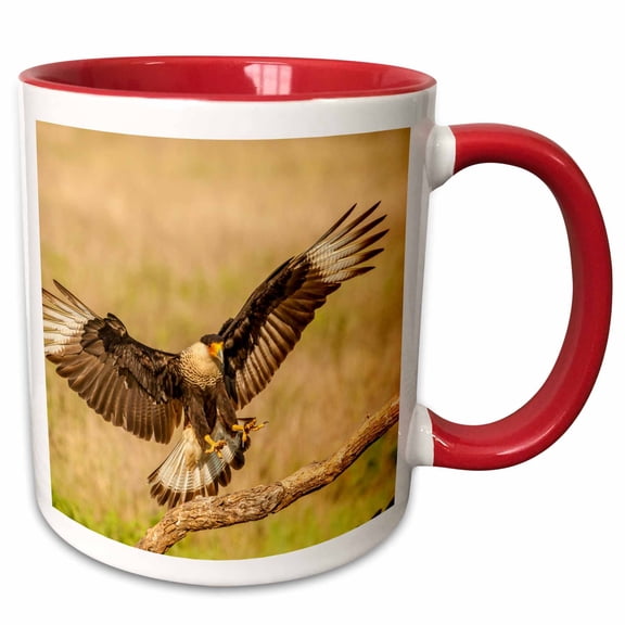 3drose, Usa, Texas, Hidalgo County. Crested Caracara Landing on Limb., 11oz Two-tone Red Mug
