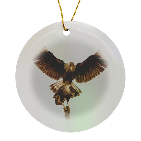 3drose, Usa, Texas, Hidalgo County. Crested Caracara Pair Mating., Circle Porcelain Ornament