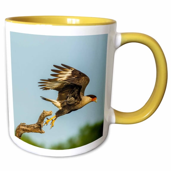 3drose, Usa, Texas, Hidalgo County. Crested Caracara Taking Flight., 11oz Two-tone Yellow Mug