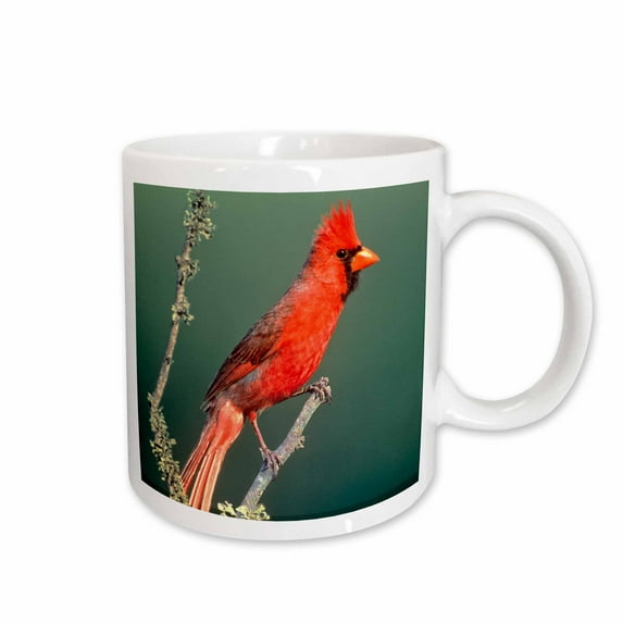 3drose, Usa, Texas , Rio Grande Valley, Cardinal Bird - Us44 Bja0113 - Jaynes Gallery, 11oz Mug