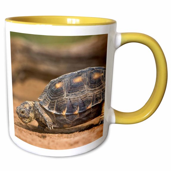 3drose, Usa, Texas, Rio Grande Valley. Texas Tortoise - Us44 Bja0183 - Jaynes Gallery, 11oz Two-tone Yellow Mug