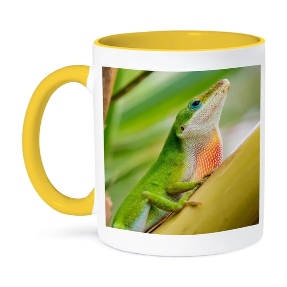 3dRose, USA, Texas, Sabal Palm Sanctuary. Male green anole on plant., 11oz Two-Tone Yellow Mug