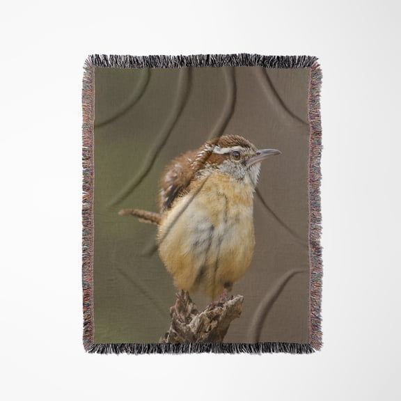 Usa, Texas, Texas Hill Country. Carolina Wren Bird - Us44 Bjy0010 - Jaynes Gallery, Woven Blanket