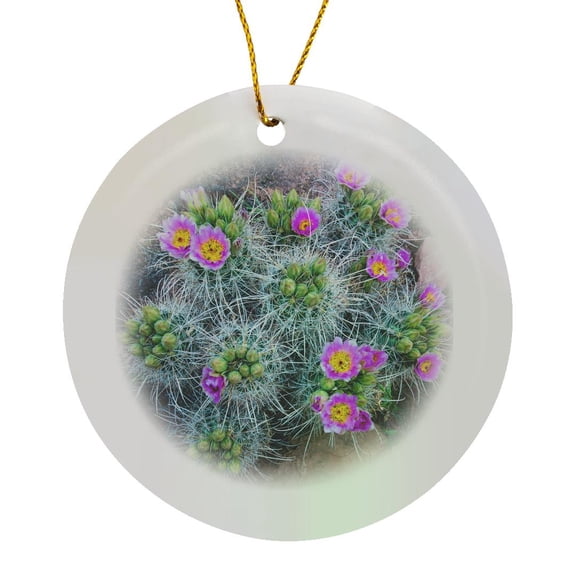 3drose, Usa, Utah, Arches Np. Whipples Fishhook Cactus Blooming and with Buds, Circle Porcelain Ornament