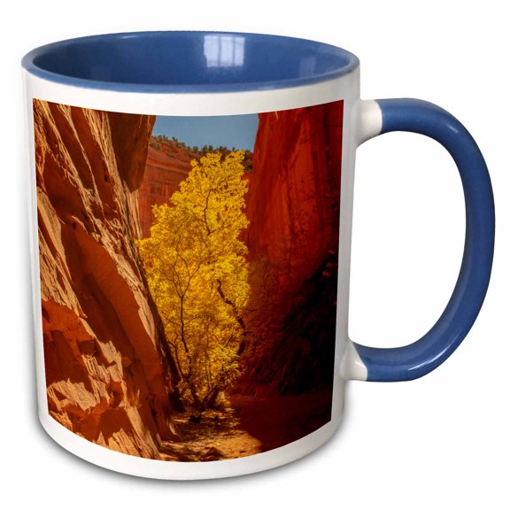 3drose, Usa, Utah, Grand Staircase Escalante Monument. Trail in River Basin., 15oz Two-tone Blue Mug