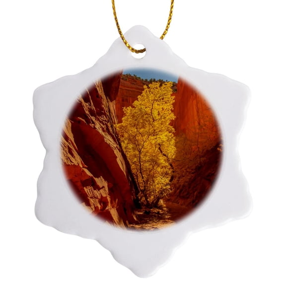 3drose, Usa, Utah, Grand Staircase Escalante Monument. Trail in River Basin., 3 inch Snowflake Porcelain Ornament