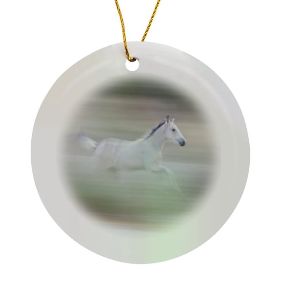 3drose, Usa, Utah, Tooele County. Blur of Wild Horse Colt Galloping, Circle Porcelain Ornament