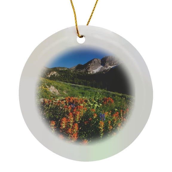 3drose, Usa, Utah, Uinta-wasatch-cache Nf, Albion Basin, Meadow Flowers, Circle Porcelain Ornament