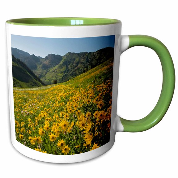 3drose, Usa, Utah, Uinta-wasatch-cache Nf, Albion Basin, Sunflowers, 11oz Two-tone Green Mug
