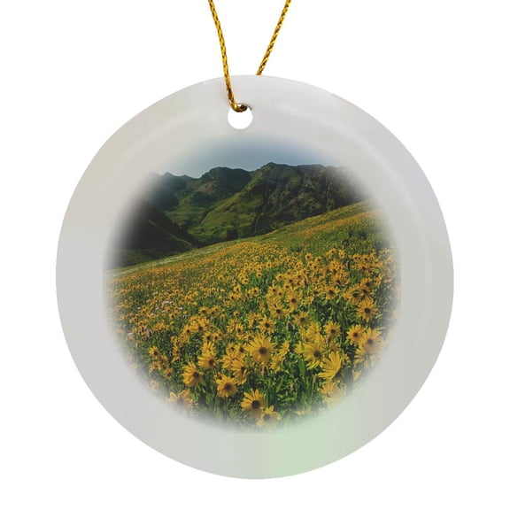 3drose, Usa, Utah, Uinta-wasatch-cache Nf, Albion Basin, Sunflowers, Circle Porcelain Ornament