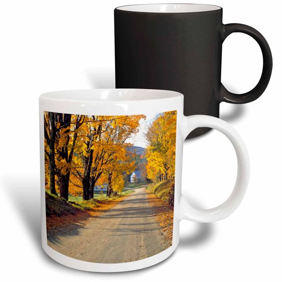 3drose, Usa, Vermont, Ryegate Corner. a Tree-lined Road - Us46 Rer0008 - Ric Ergenbright, 11oz Magic Transforming Mug