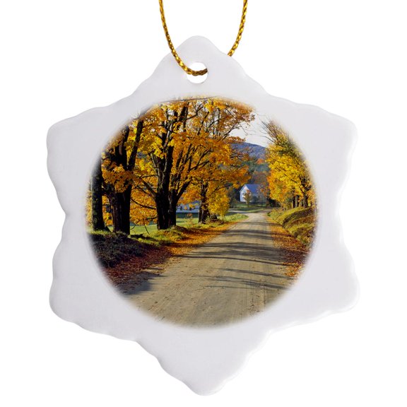 3drose, Usa, Vermont, Ryegate Corner. a Tree-lined Road - Us46 Rer0008 - Ric Ergenbright, 3 inch Snowflake Porcelain Ornament