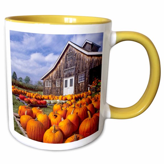 3drose, Usa, Vermont, Shelbourne, Pumpkins, Farm - Us46 Rdu0002 - Richard Duval, 11oz Two-tone Yellow Mug