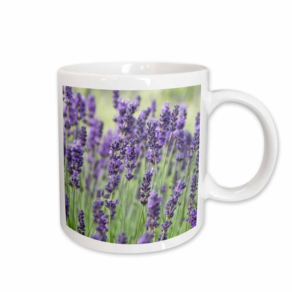 3drose, Usa, Wa, Sequim, Lavender Flower - Us48 Rti0243 - Rob Tilley, 15oz Mug