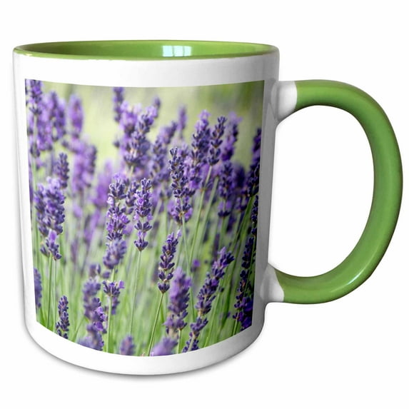 3drose, Usa, Wa, Sequim, Lavender Flower - Us48 Rti0243 - Rob Tilley, 15oz Two-tone Green Mug