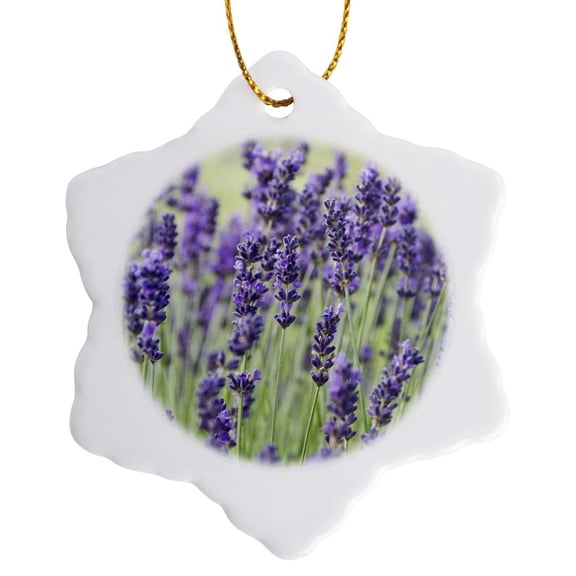 3drose, Usa, Wa, Sequim, Lavender Flower - Us48 Rti0243 - Rob Tilley, 3 inch Snowflake Porcelain Ornament