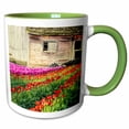 thumbnail image 1 of 3drose, Usa, Wa, Skagit Valley. Tulip Field and Barn, 11oz Two-tone Green Mug, 1 of 6