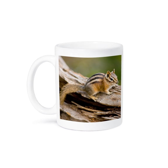 3drose, Usa, Washington, Copper Ridge. Yellow-pine Chipmunk Adult on a Log., 11oz Mug