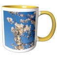 thumbnail image 1 of 3drose, Usa, Washington Dc. White Cherry Blossoms - Us09 Cre0002 - Christopher Reed, 15oz Two-tone Yellow Mug, 1 of 6